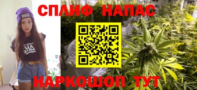 стаф Бузулук