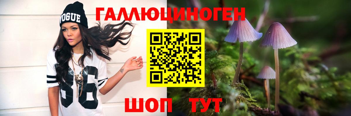 Реж  Галлюциногенные грибы ЛСД  Вход с VPN  Галлюциногенные грибы Psilocybine cubensis 